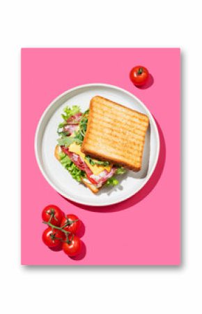 Toast club sandwich with bacon, cheese, tomatoes, lettuce, arugula and sauce on a plate on a bright pink background
