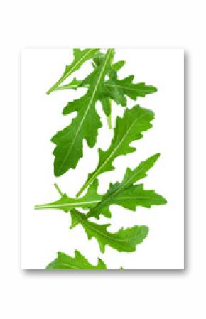 Green arugula leaves rotating, falling softly against transparent background, showcasing crisp texture and vivid emerald coloration