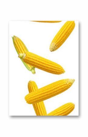 Ripe corn cobs falling, green leaves suspended, presenting fresh agricultural harvest on transparent backdrop