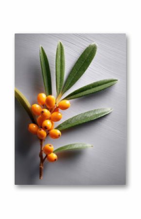 Sea buckthorn branch with vibrant orange berries and green leaves on light gray textured background, natural and fresh look