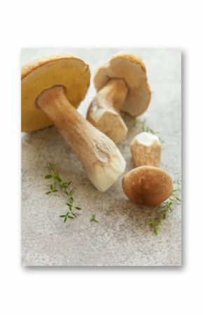 Fresh penny bun mushrooms with thyme on gray background