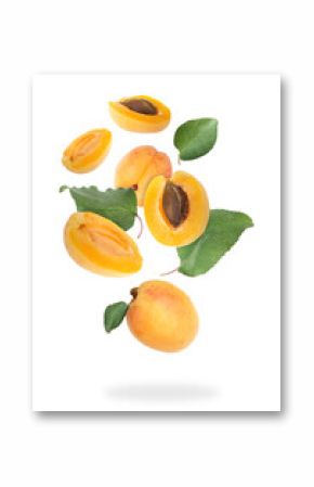 Fresh juicy apricots falling against white background
