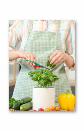 Woman cutting basil plant in kitchen, closeup