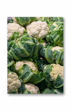 Freshly Harvested Cauliflower Bunch Ready For Cooking