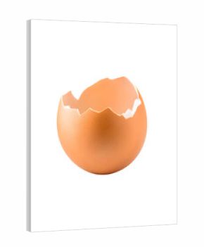 A broken empty eggshell for food photography and product advertising 