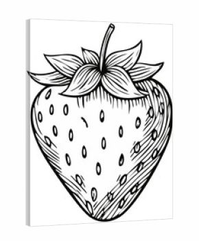 Hand drawn strawberry fruit illustration in a vintage woodcut engraving style