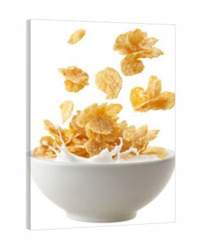 Healthy golden corn flakes cereal in white bowl with dynamic splash with milk isolated on transparent background