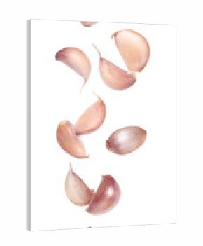 garlic on white background