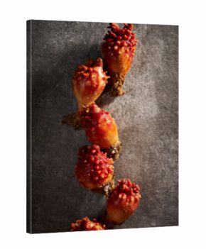 Sea squirt, seafood on a stone plate