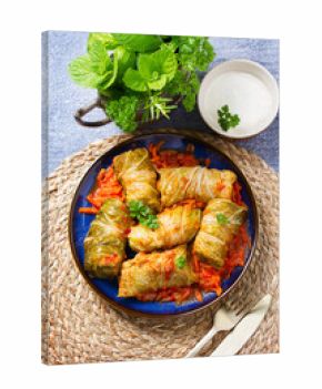 Stuffed cabbage leaves. Cabbage wraps. Chou farci, dolma, sarma, golubtsy or golabki. View from above, top studio shot