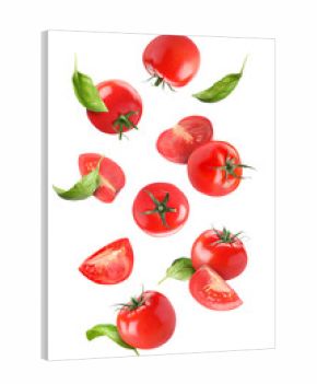 Fresh tomatoes and basil leaves flying on white background