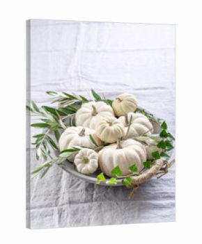 White pumpkins with green branches in a bowl on kitchen table