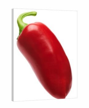 Red mini sweet pepper isolated