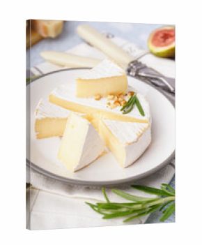 Plate with pieces of tasty Camembert cheese on grey background