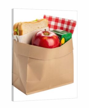 Picnic lunch pack park food bag nature top view healthy isolated on transparent background