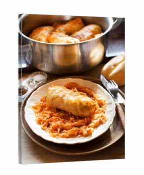 Cabbage rolls sarma