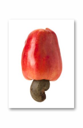 Brazilian Caju Cashew Fruit