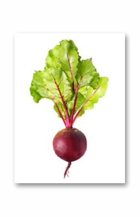 Beetroot with leaves