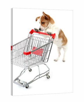 Dog with shopping cart isolated on white