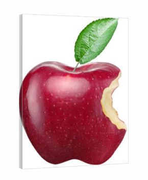 Red apple on a white background.