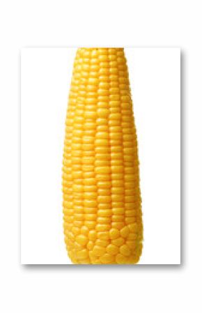 Corn isolated 
