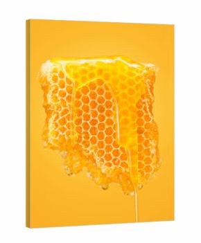 Sweet honeycomb on yellow
