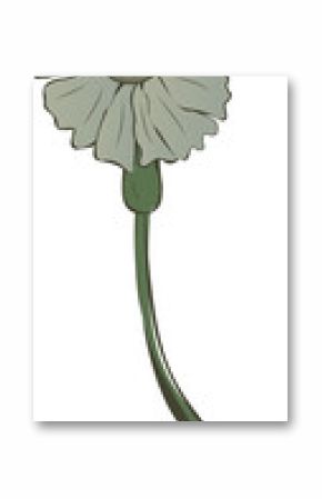 Stylized green flower is being shown in flat design with segmented center and stem transparent bg