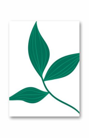 Flat design botanical branch is floating on transparent background, with slender green leaves