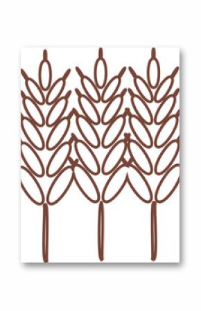 Minimalist vector illustration is showing three wheat stalks with grains on transparent background