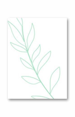 Minimal green line art branch is being shown on transparent background, showing elongated leaves