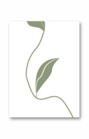 Stylized olive-green vine is showing two smooth leaves with pale veins on transparent background