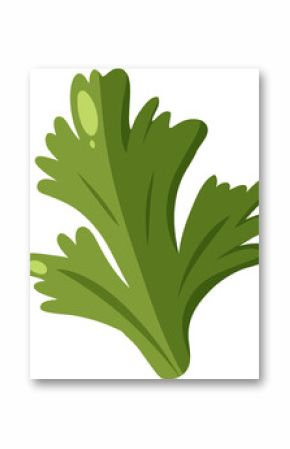Green parsley cluster is showing scalloped leaves in flat vector design, transparent background