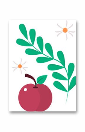 Vector flat design is showcasing red fruit, green foliage, white daisies on transparent backdrop