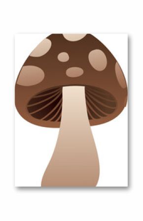 Cartoon mushroom flat design showing brown spotted cap, pale stem, gills on transparent backdrop