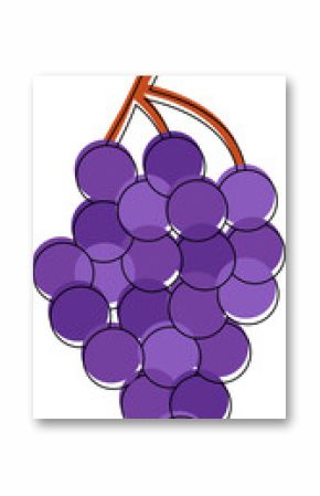 Flat icon is showing purple grape cluster with overlapping circles and brown stem on transparent bg