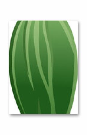 Green seed pod is floating in flat design style with light green veins on transparent background