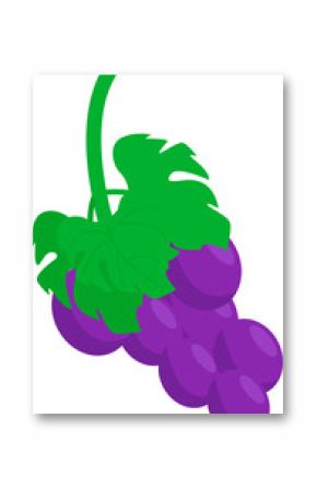 Cluster of purple grapes is glowing in flat vector art with vine and leaves, transparent background