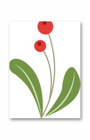 Plant branch is showing red berries with green leaves in flat design with transparent background