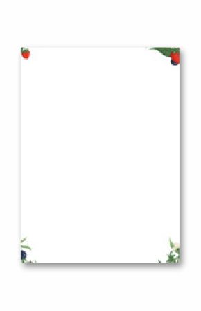 Flat frame is showing berries, white flowers, green leaves on transparent background, copy space