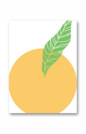 Stylized fruit is showing flat design yellow circle with veined green leaf, transparent background