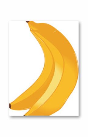 Pair of ripe yellow bananas are being shown in flat illustration with sheen, transparent background