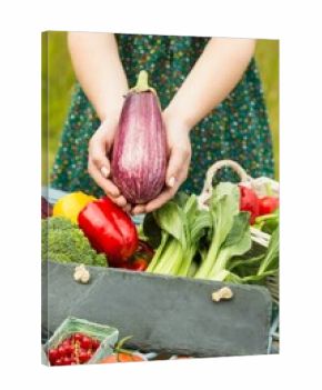 Hands holding an aubergine