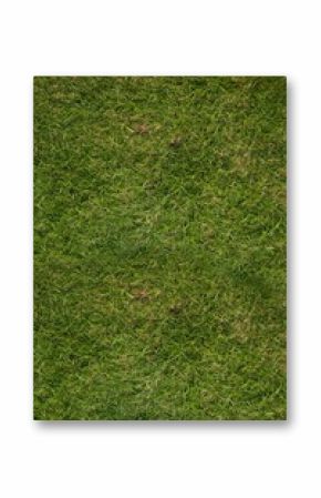 Continuous grass surface is showing flat design featuring dense green blades and brown patches