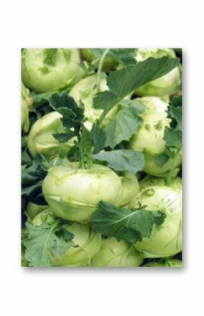 kohlrabi