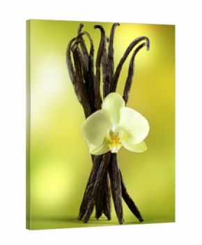 Vanilla Beans