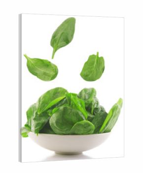 fresh spinach in a white bowl