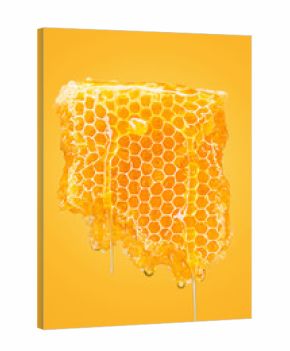 Sweet honeycomb on yellow