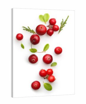 Fresh forest berry cranberry