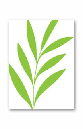 Vector-style leafy branch is curving with bright green lanceolate leaves on transparent background