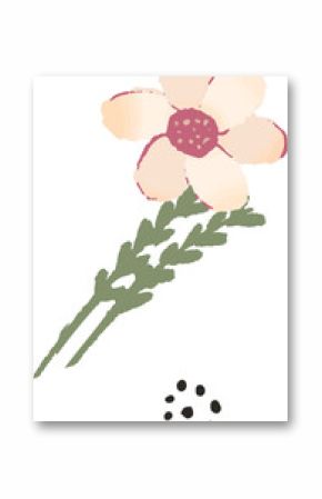 Wildflower is being shown in flat style with pale pink petals, green stems, transparent background